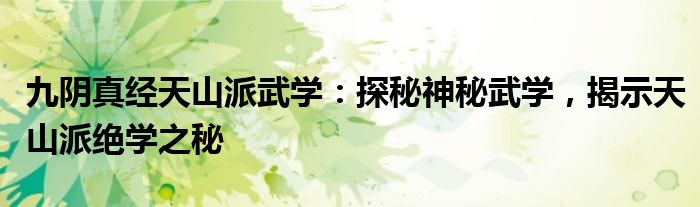 九阴真经天山派武学：探秘神秘武学，揭示天山派绝学之秘