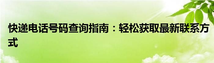 快递电话号码查询指南：轻松获取最新联系方式