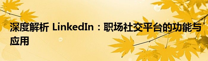 深度解析 LinkedIn：职场社交平台的功能与应用