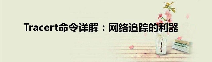 Tracert命令详解：网络追踪的利器