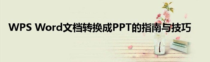 WPS Word文档转换成PPT的指南与技巧