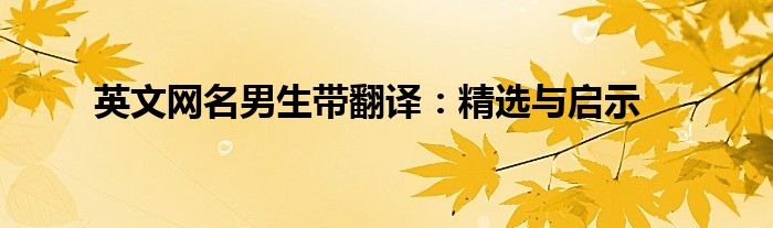 英文网名男生带翻译：精选与启示