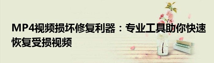 MP4视频损坏修复利器：专业工具助你快速恢复受损视频