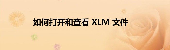 如何打开和查看 XLM 文件
