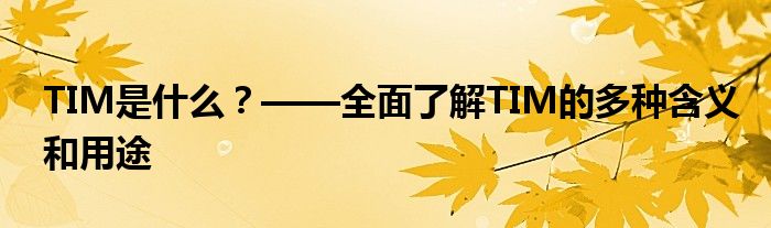 TIM是什么？——全面了解TIM的多种含义和用途
