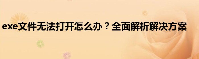 exe文件无法打开怎么办？全面解析解决方案