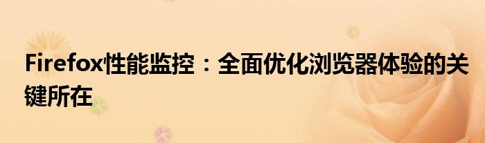 Firefox性能监控：全面优化浏览器体验的关键所在