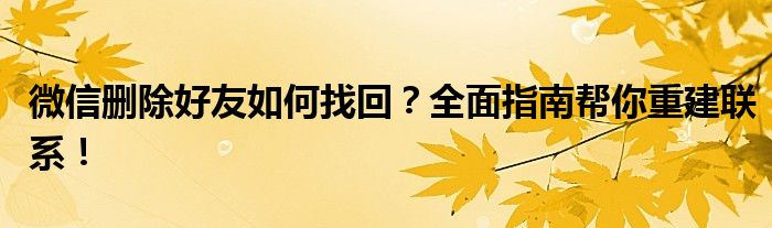 微信删除好友如何找回？全面指南帮你重建联系！