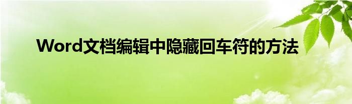 Word文档编辑中隐藏回车符的方法