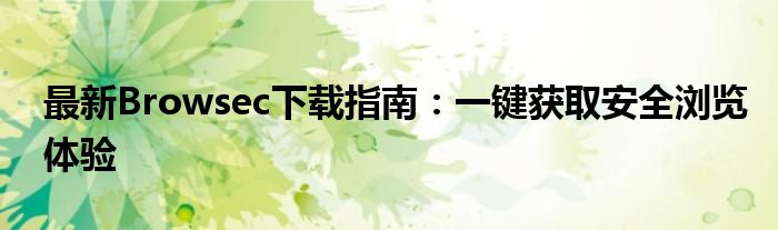 最新Browsec下载指南：一键获取安全浏览体验