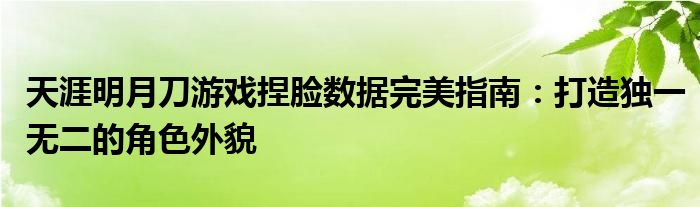 天涯明月刀游戏捏脸数据完美指南：打造独一无二的角色外貌