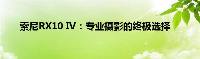 索尼RX10 IV：专业摄影的终极选择