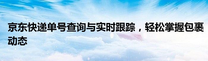 京东快递单号查询与实时跟踪，轻松掌握包裹动态