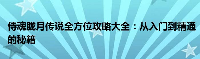 侍魂胧月传说全方位攻略大全：从入门到精通的秘籍