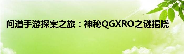 问道手游探案之旅：神秘QGXRO之谜揭晓