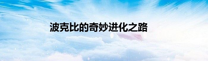 波克比的奇妙进化之路
