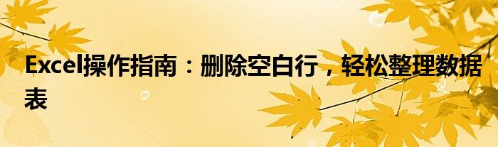 Excel操作指南：删除空白行，轻松整理数据表