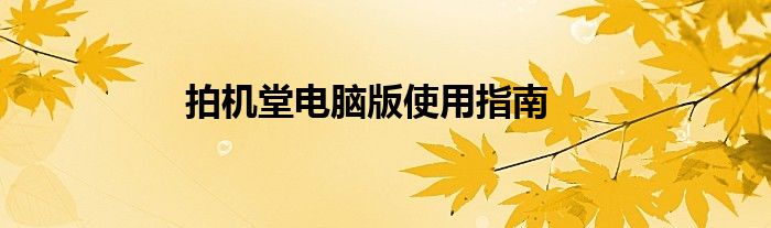 拍机堂电脑版使用指南