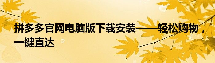 拼多多官网电脑版下载安装——轻松购物，一键直达