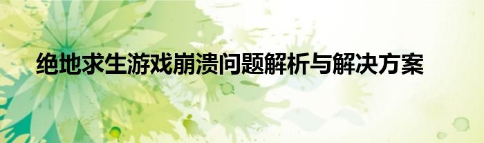 绝地求生游戏崩溃问题解析与解决方案