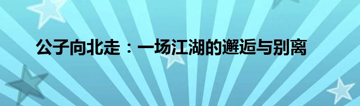 公子向北走：一场江湖的邂逅与别离