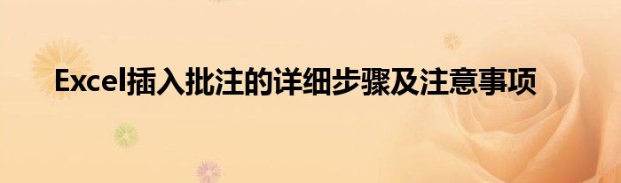Excel插入批注的详细步骤及注意事项