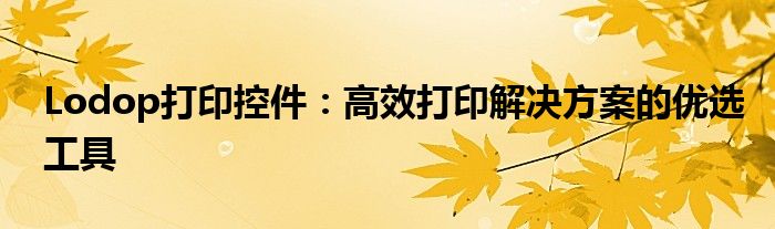 Lodop打印控件：高效打印解决方案的优选工具
