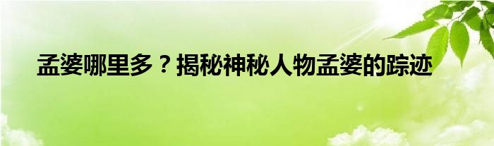 孟婆哪里多？揭秘神秘人物孟婆的踪迹