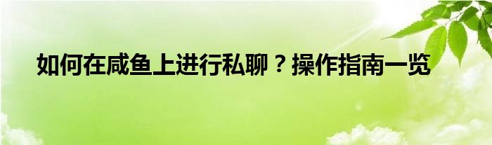 如何在咸鱼上进行私聊？操作指南一览