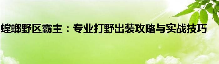 螳螂野区霸主：专业打野出装攻略与实战技巧