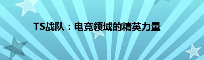 TS战队：电竞领域的精英力量