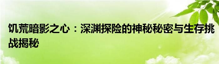 饥荒暗影之心：深渊探险的神秘秘密与生存挑战揭秘