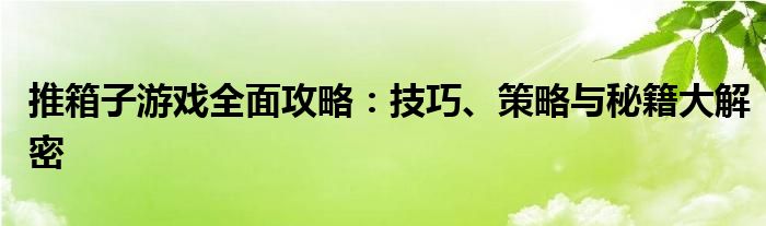 推箱子游戏全面攻略：技巧、策略与秘籍大解密