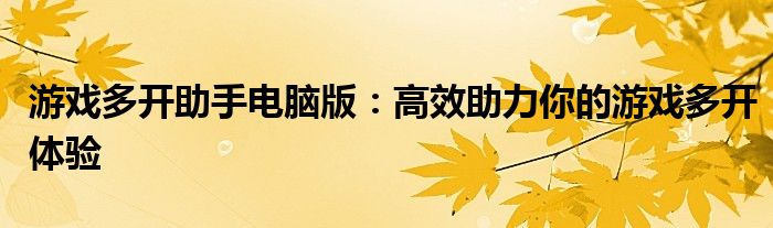 游戏多开助手电脑版：高效助力你的游戏多开体验