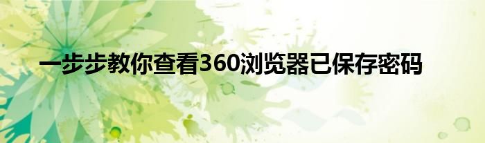 一步步教你查看360浏览器已保存密码