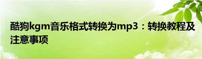 酷狗kgm音乐格式转换为mp3：转换教程及注意事项
