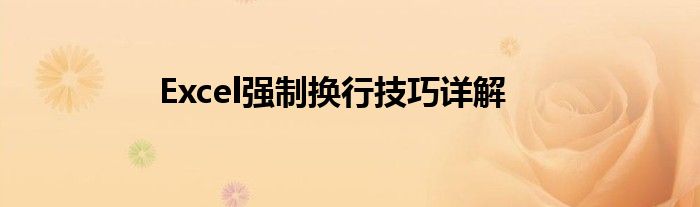 Excel强制换行技巧详解