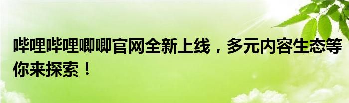 哔哩哔哩唧唧官网全新上线，多元内容生态等你来探索！
