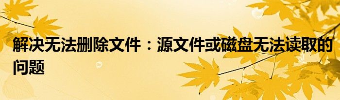 解决无法删除文件：源文件或磁盘无法读取的问题