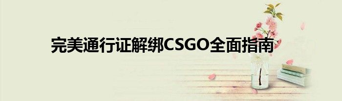 完美通行证解绑CSGO全面指南