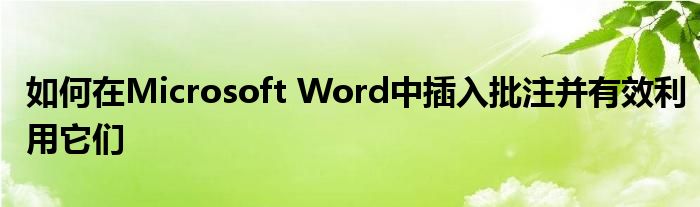 如何在Microsoft Word中插入批注并有效利用它们