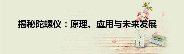 揭秘陀螺仪：原理、应用与未来发展