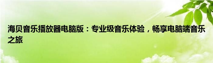 海贝音乐播放器电脑版：专业级音乐体验，畅享电脑端音乐之旅