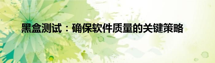 黑盒测试：确保软件质量的关键策略