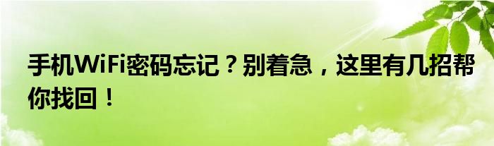 手机WiFi密码忘记？别着急，这里有几招帮你找回！