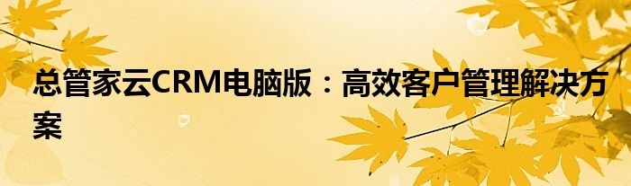 总管家云CRM电脑版：高效客户管理解决方案