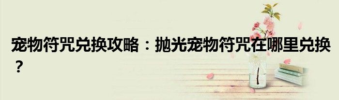 宠物符咒兑换攻略：抛光宠物符咒在哪里兑换？