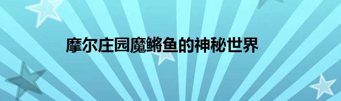 摩尔庄园魔鳉鱼的神秘世界