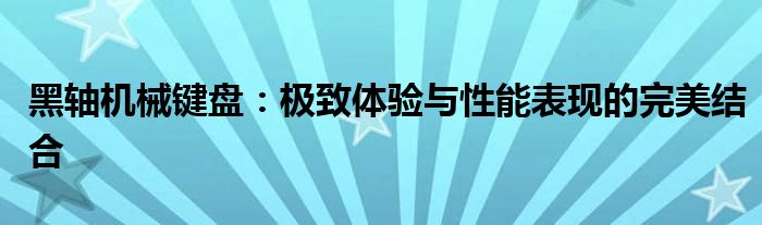 黑轴机械键盘：极致体验与性能表现的完美结合