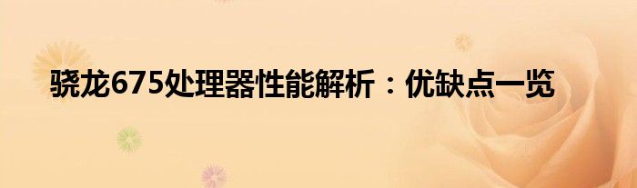 骁龙675处理器性能解析：优缺点一览